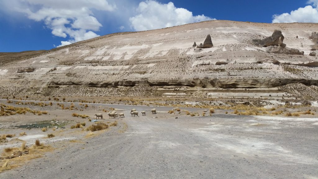 lfp_brazylia_peru_pazdziernink2014_2