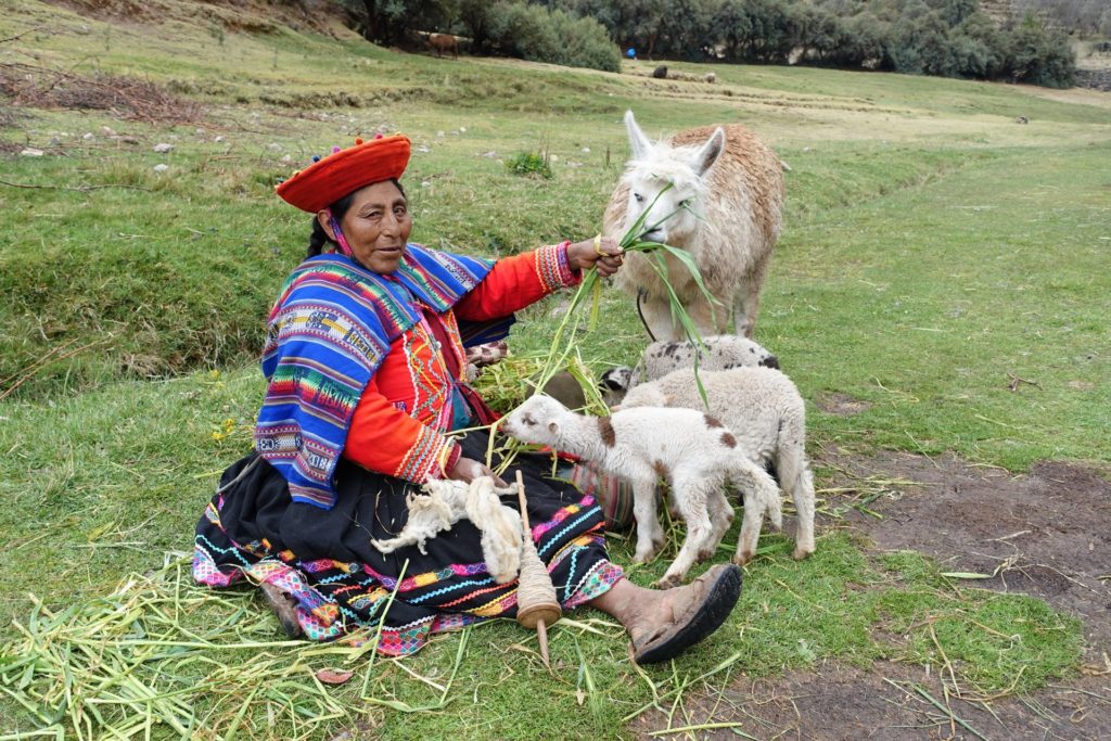 lfp_brazylia_peru_pazdziernink2014_6